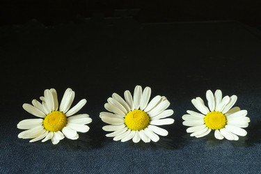 Similar image 21218712