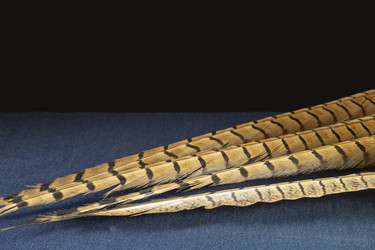 Similar image 21218720