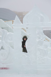 Similar image 21219455