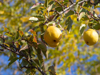 Similar image 21205543