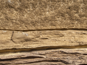 Similar image 21205544