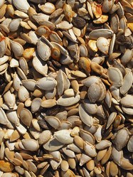 Similar image 21212524