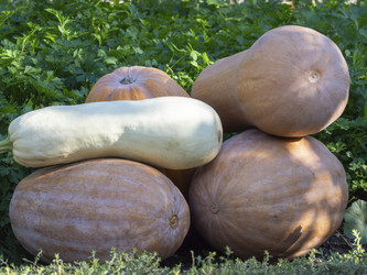 Similar image 21212525