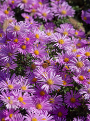 Similar image 21212527