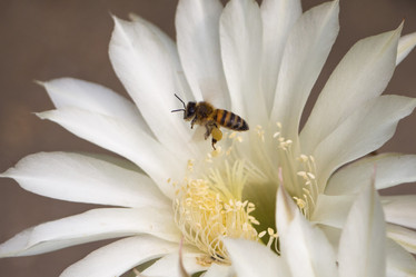 Similar image 21212531