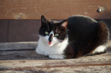 Similar image 21206213