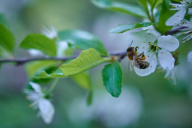 Similar image 21206489