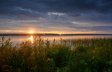 Similar image 21206490