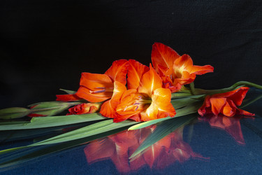 Similar image 21218725