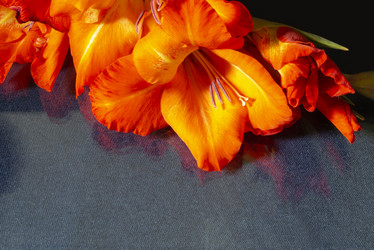 Similar image 21218726