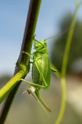 Similar image 21218729