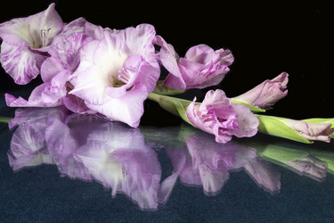 Similar image 21218731