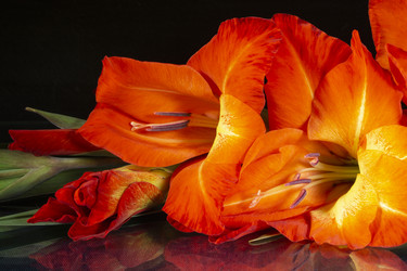 Similar image 21218733