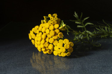 Similar image 21218735