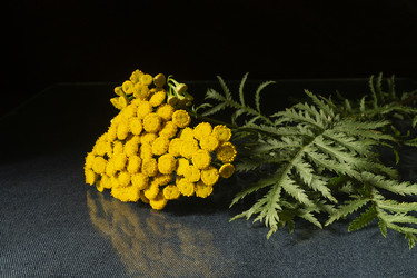 Similar image 21218737