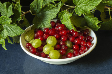 Similar image 21219025