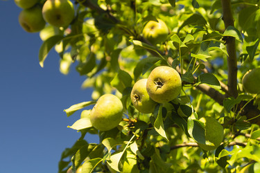 Similar image 21219027