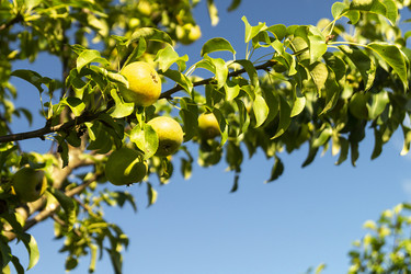 Similar image 21219029