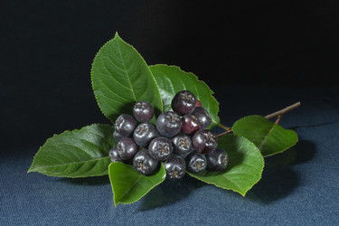 Similar image 21219106