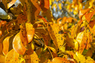 Similar image 21219110