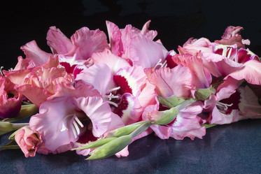 Similar image 21219113