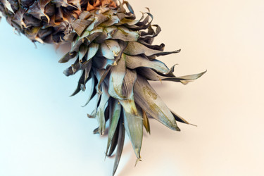 Similar image 21206491