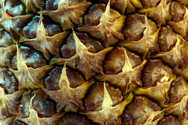 Similar image 21206492