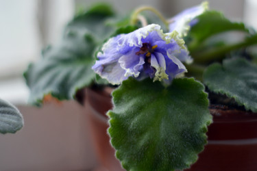 Similar image 21206498