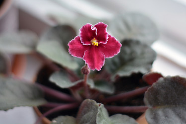 Similar image 21206500