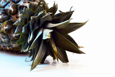 Similar image 21206501