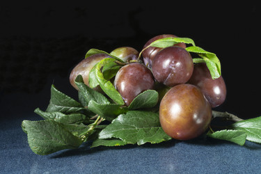 Similar image 21205782