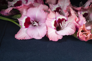 Similar image 21205784