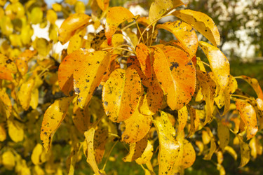 Similar image 21208964