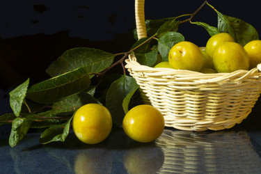 Similar image 21209010