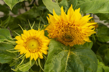 Similar image 21218744