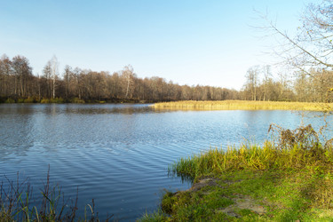 Similar image 21218745