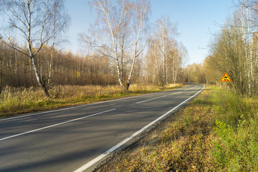 Similar image 21218746