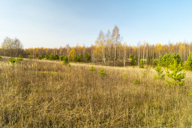 Similar image 21218748