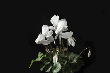 Similar image 21219046