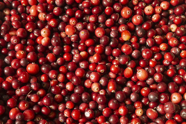 Similar image 21219057