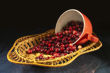 Similar image 21219117