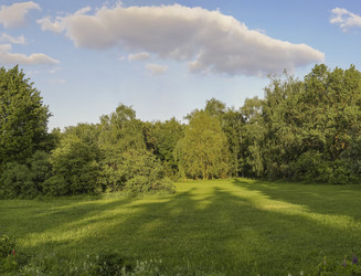 Similar image 21205790