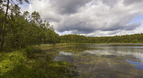 Similar image 21205791