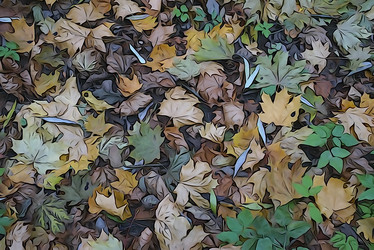 Similar image 21205792