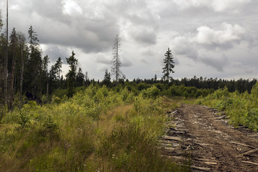 Similar image 21205799