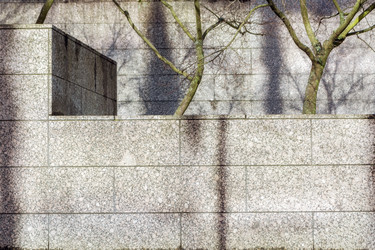 Similar image 21204897