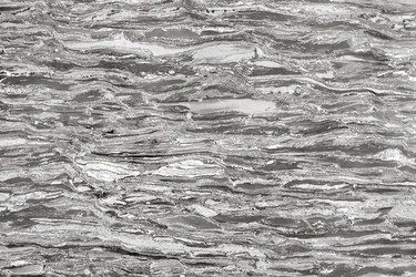 Similar image 21204906