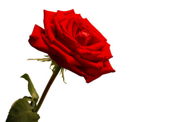 Similar image 21204917