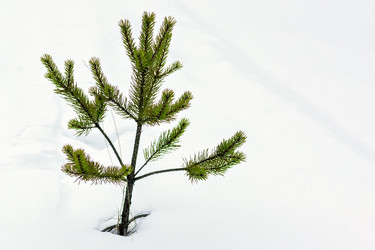 Similar image 21204930