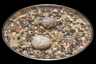 Similar image 21204853